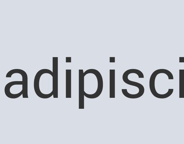 Heavy Duty Leather Flum