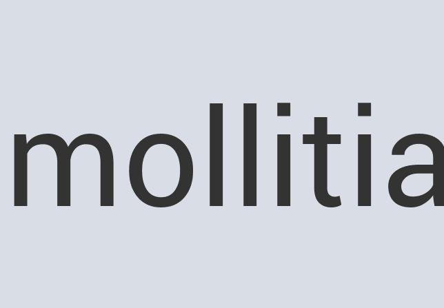 Aerodynamic Aluminum Clippety Clips