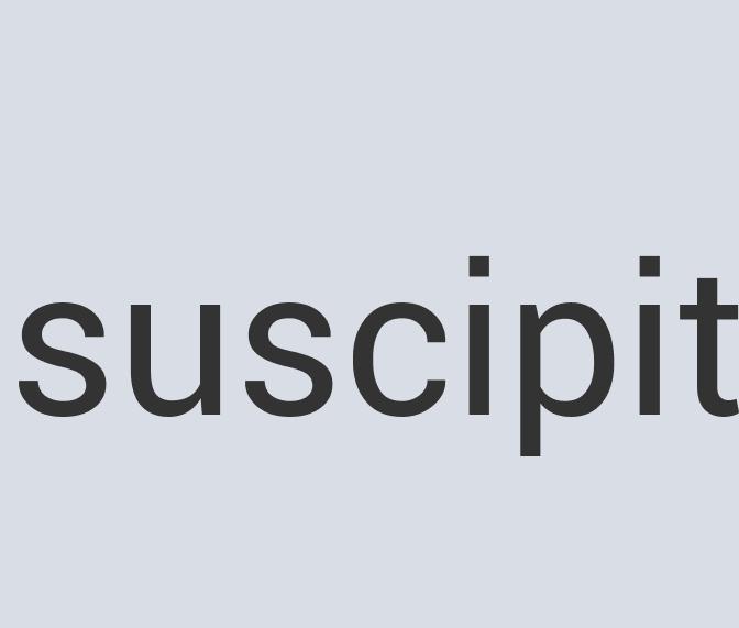 Ergonomic Wool The Boss-buster