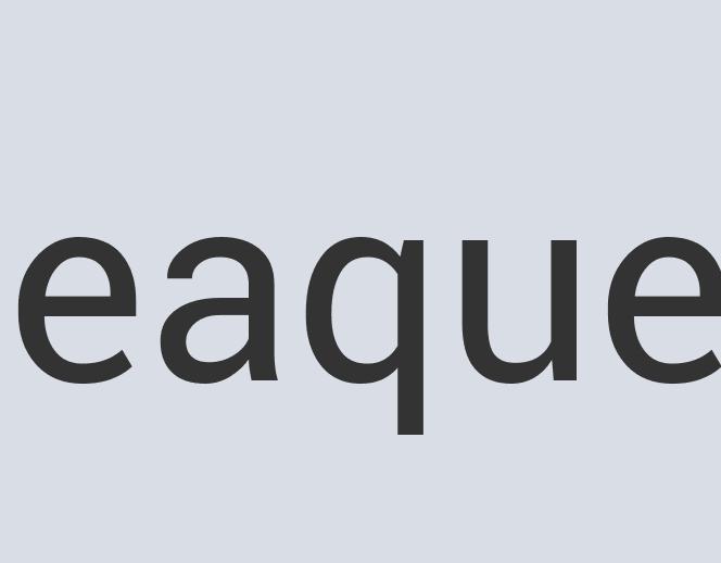 Awesome Leather Portsicle