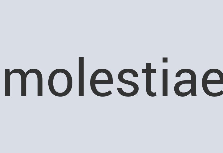 Awesome Paper Magellanic Penguin