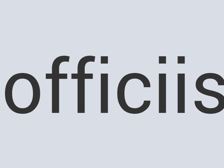 Durable Paper Feather Lace