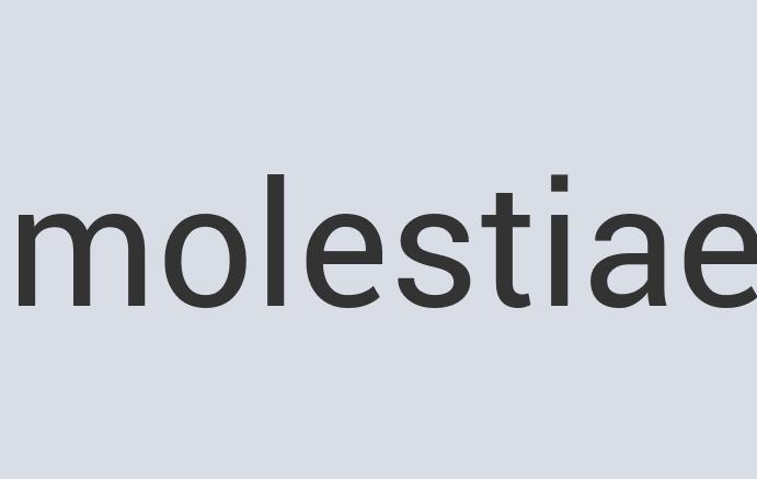 Awesome Rubber Meteor Media