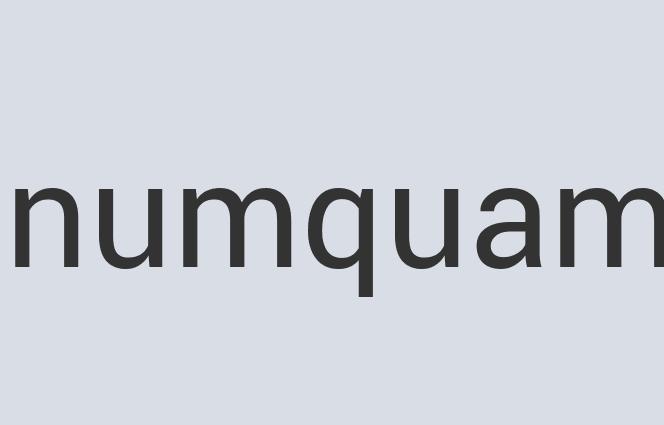 Fantastic Plastic Chunck’s Chunks