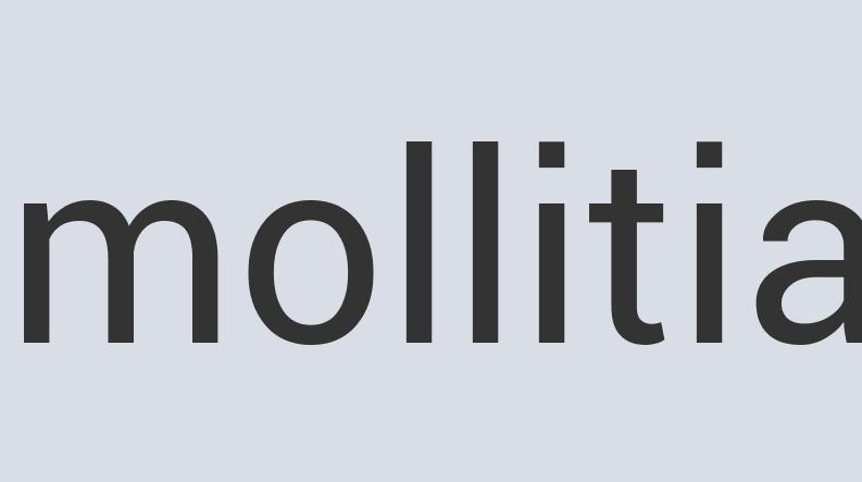 Aerodynamic Plastic Pub Parrot