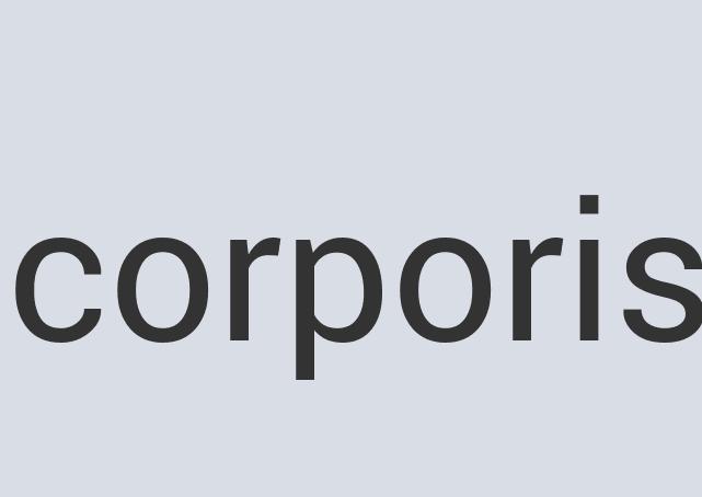 Aerodynamic Plastic Curt Ales