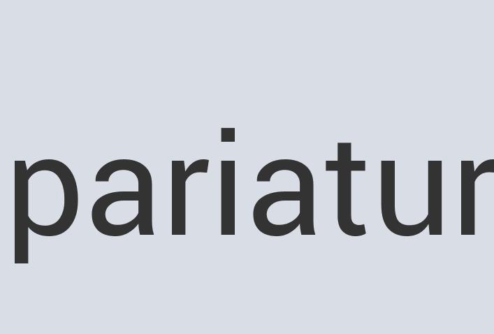 Gorgeous Leather Austex