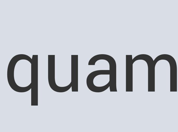 Durable Iron Zillacom